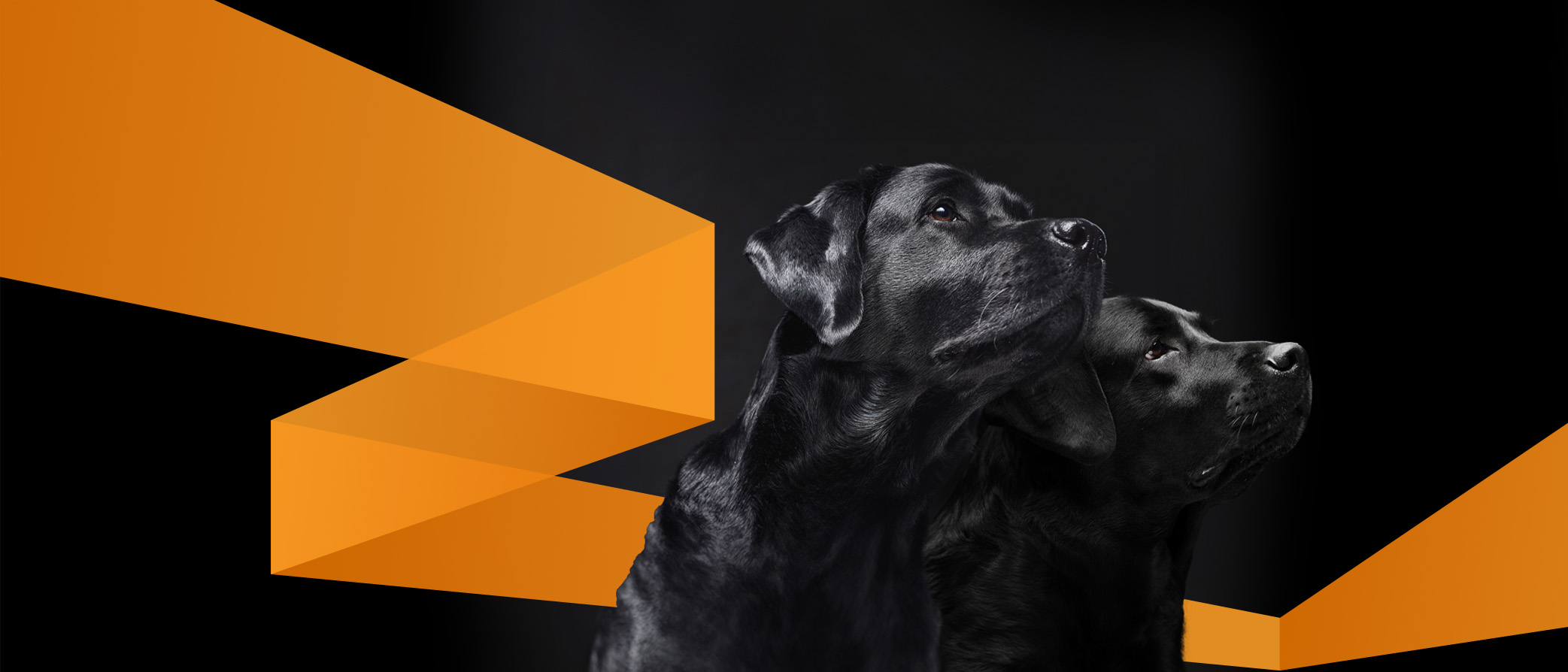 Big Dogs, get ready to howl with an even more rewarding partner program