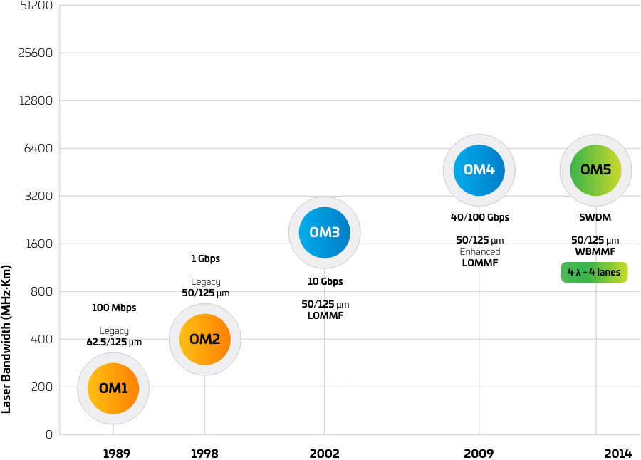 MMF-FactFile-OMFibertypes-Diagram1