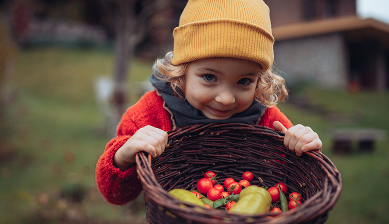 Prodigy-Sustainability-hero-800x460