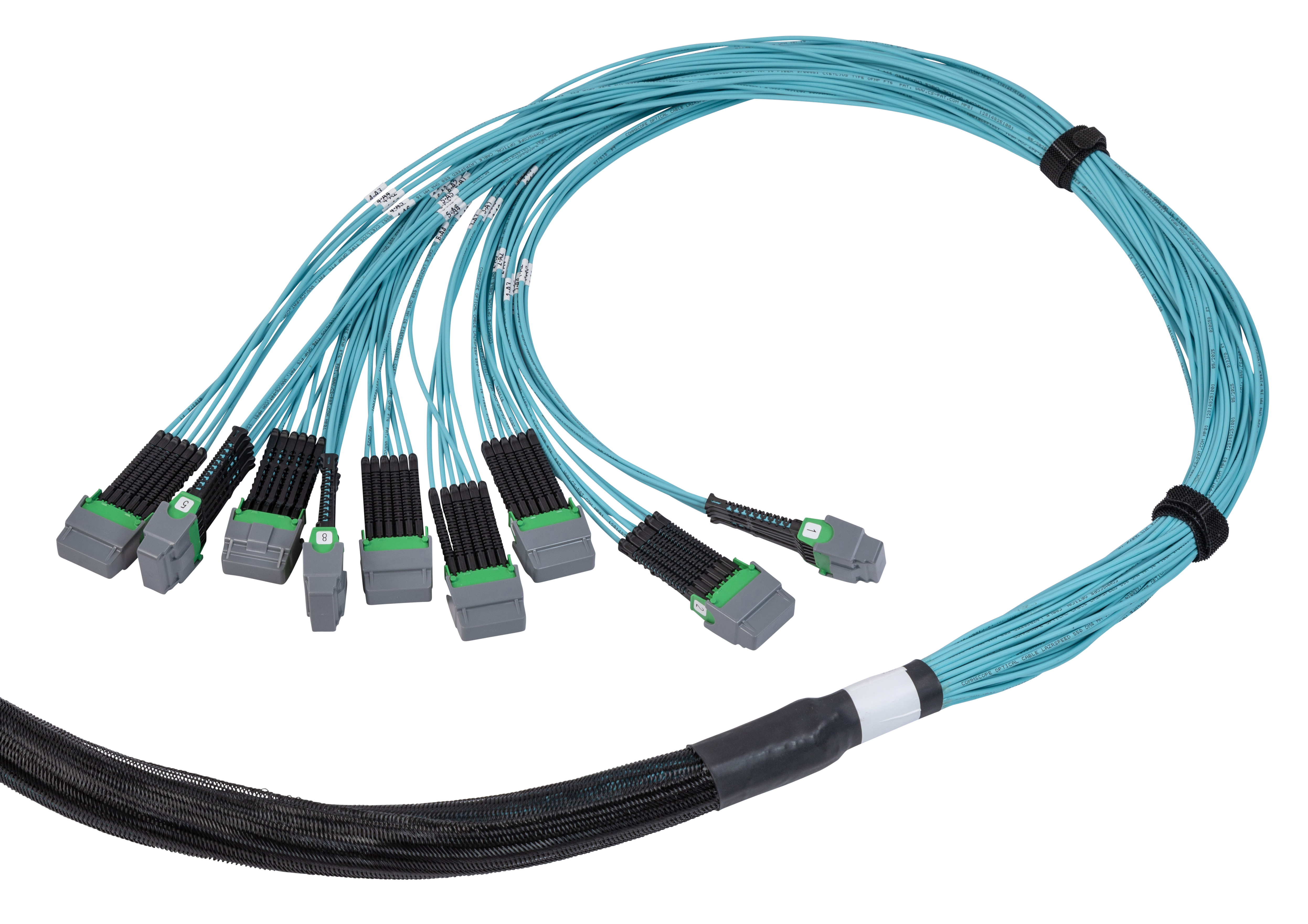 Trunk cables with Mass Insert trunk connectors