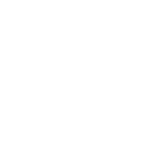 SecurityCamera