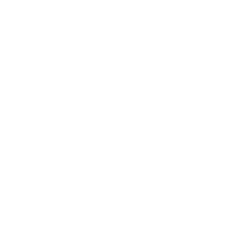 SecurityControl