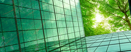 Tree canopy reflected on building's glass windows