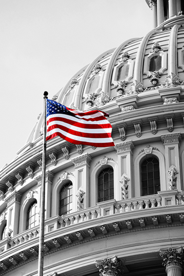 federal_flag_capitol_sm_3