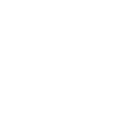 intelligent-port-icon